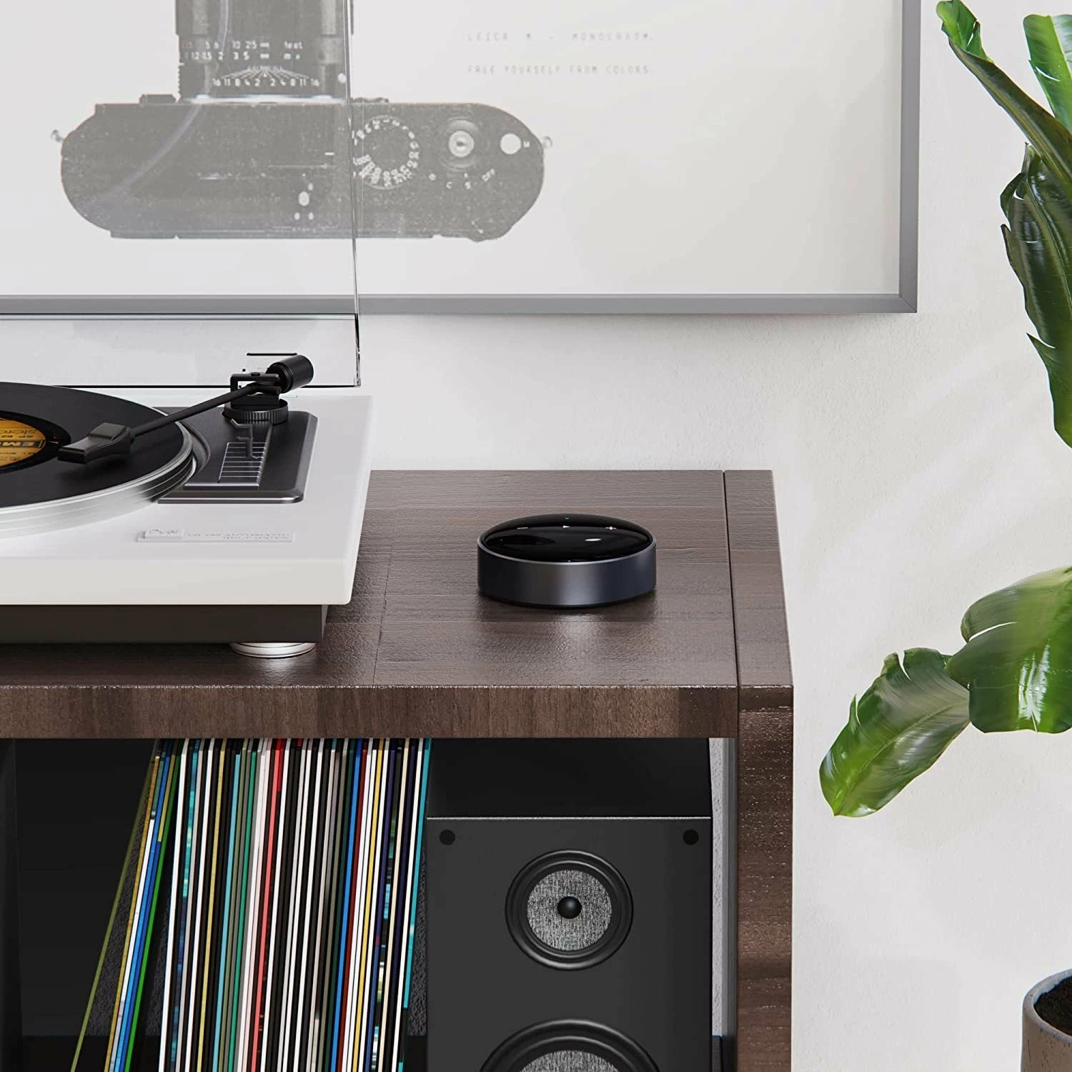 Player streaming rrjeti Arylic WiiM Mini AirPlay 2 Wi-Fi 2.4/5GHz Bluetooth 5.0 DAC Burr-Brown, i zi, set me kabllo
