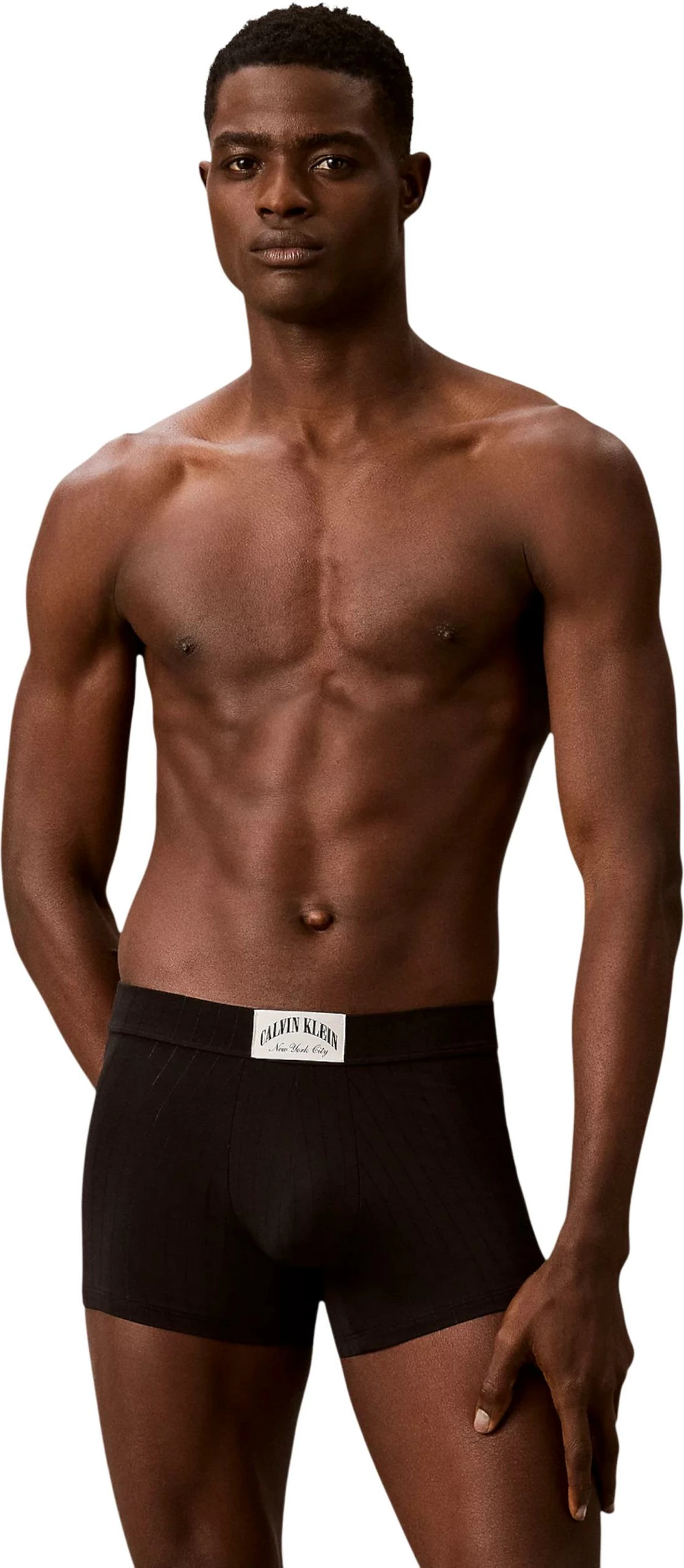 Të brendshme për meshkuj Calvin Klein Underwear TRUNK LV00NB4504, të zeza [Madhësia: S]
