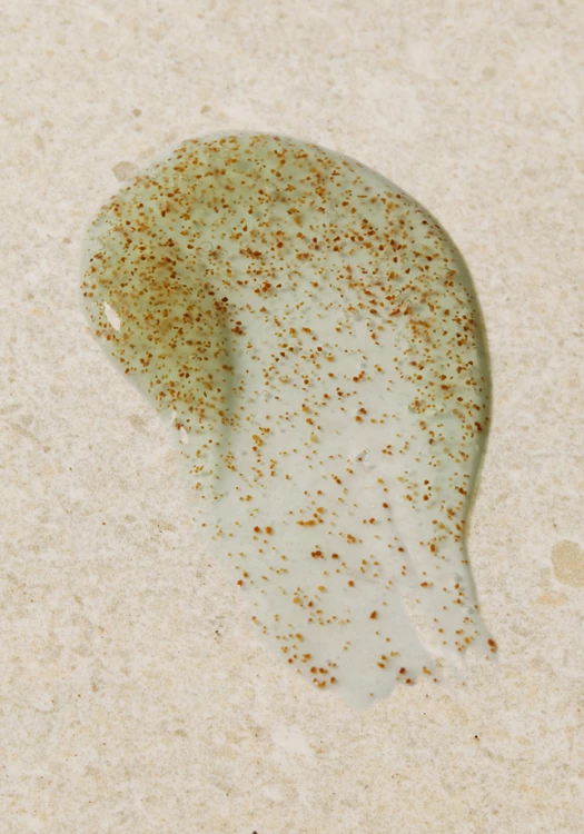 Seaweed- Eksfoliues për Balancim të Yndyrës 125 ML