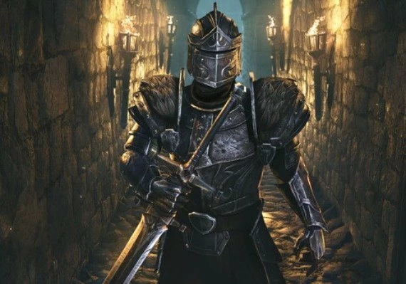 TESO The Elder Scrolls Online: High Isle Upgrade DLC Collector's Edition EN/DE/FR Global