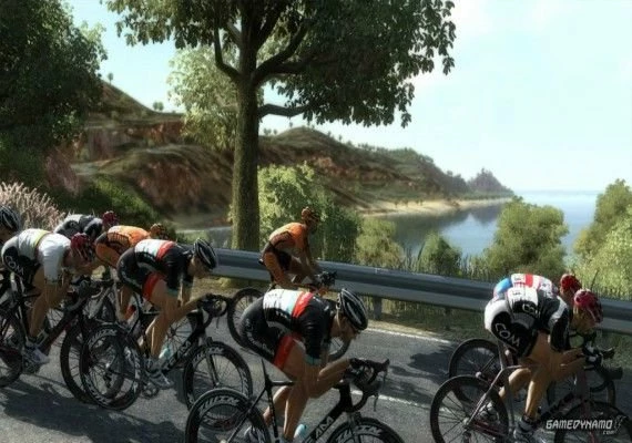 Pro Cycling Manager 2013 EN/DE/FR/IT Global
