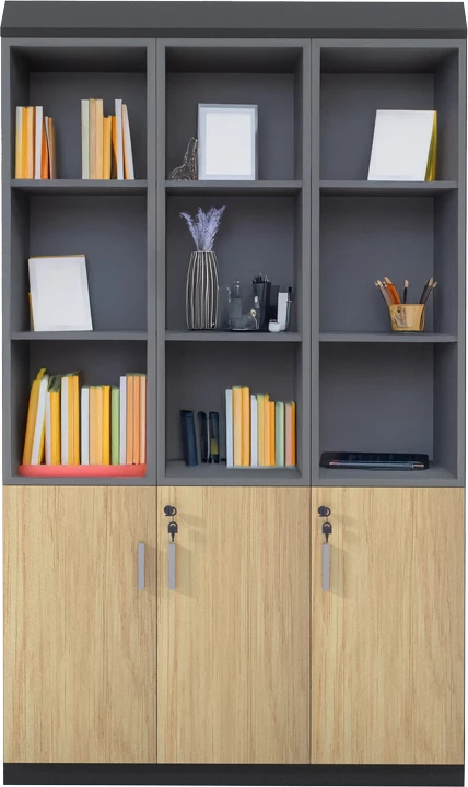 Raft librash Lotus me xham dhe dru, ngjyrë natyrale-antracit, 120x40x200cm