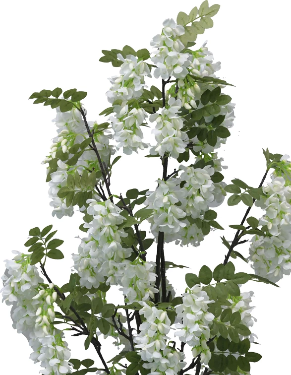 Bimë dekorative me lule fasule në vazo, Inart, e bardhë, pp, H125cm