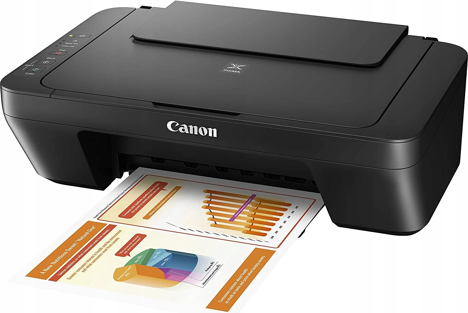 Canon PIXMA MG2551S GREY