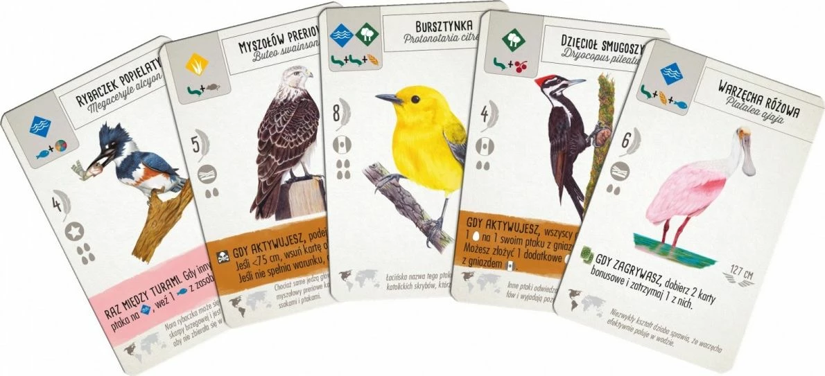 Lojë tavoline Rebel On Wings, strategjike-ekonomike, 1-5 lojtarë, 10+