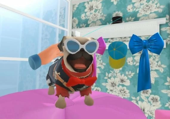 Dream Pets VR EN/JA Global