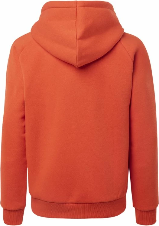 Duks fëmijë Iguana