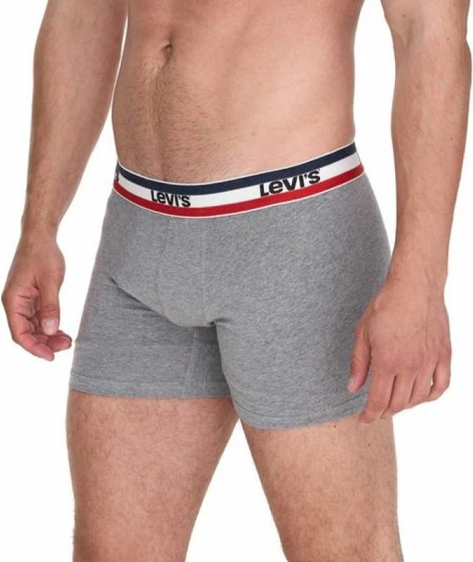 Të brendshme për meshkuj Levi's, multikolor