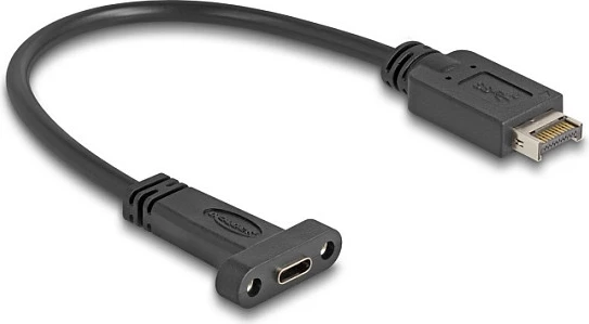 Kabllo DeLOCK USB Type-E 20-pin në USB-C female panel-mount, USB 3.2 Gen 2 10Gbps, 25cm, e zezë