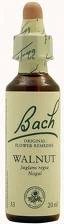 Pikatore suplemente Bach Walnut 33, 20ml, unisex