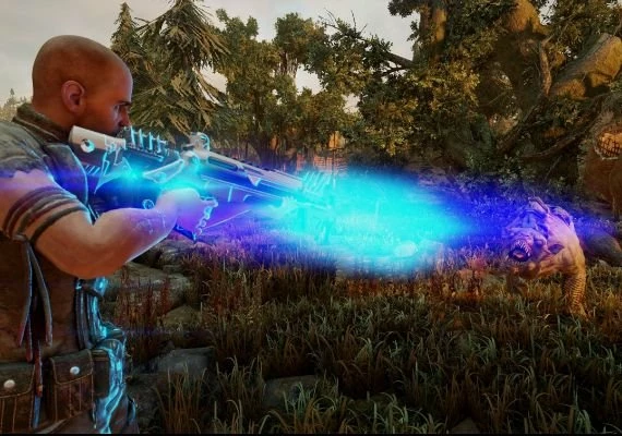 ELEX EN/DE/FR/IT/PL/RU/ES Global