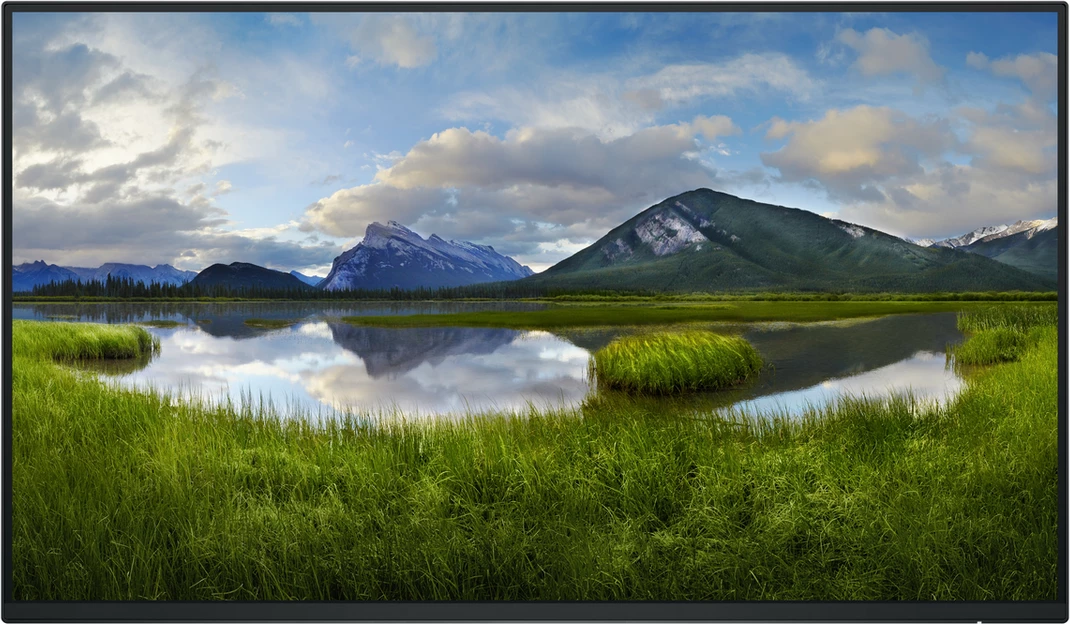 Monitor, Dell, P2425HWO 210-BMTB, deri 24 inch, e zezë