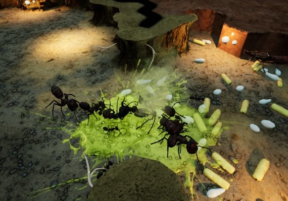 Empires of the Undergrowth - Exploding Ants DLC EN/DE/RU/ZH/ES Global
