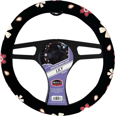 Praxis Mbrojtes i Timonit Lili 1