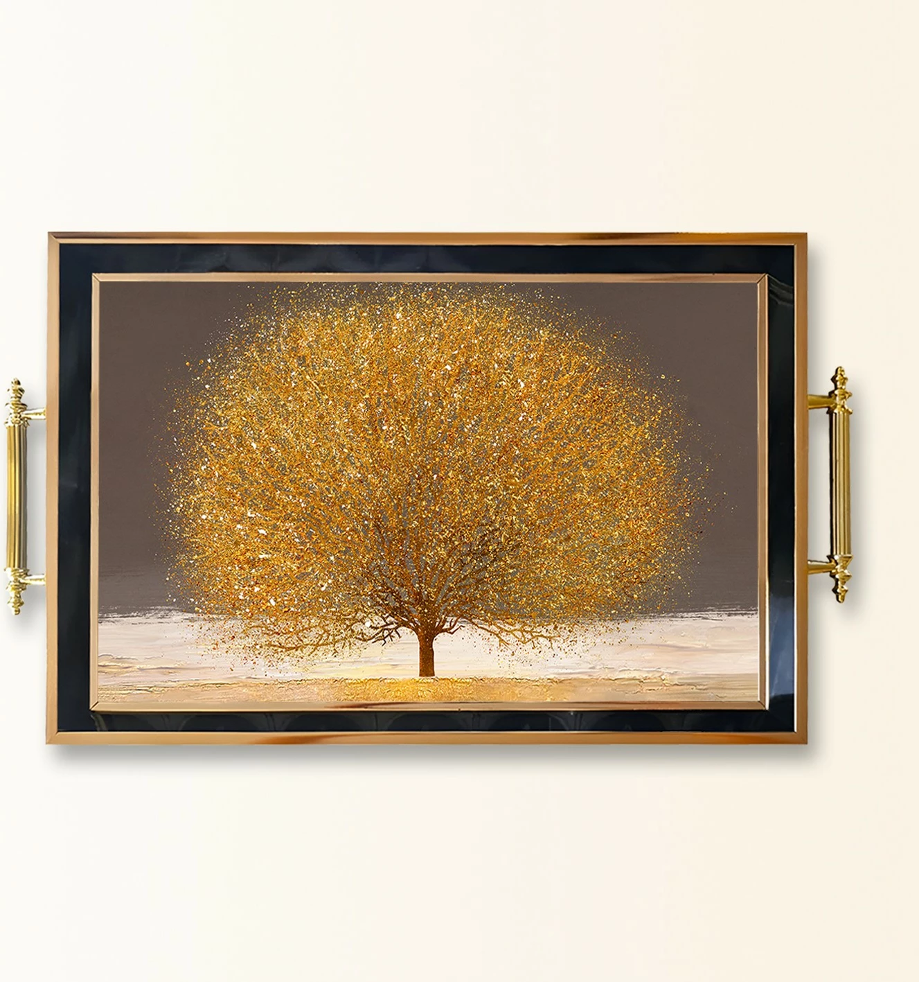Tabaka qelqi Aberto Design TPA9862, 50 x 29 x 3.5 cm