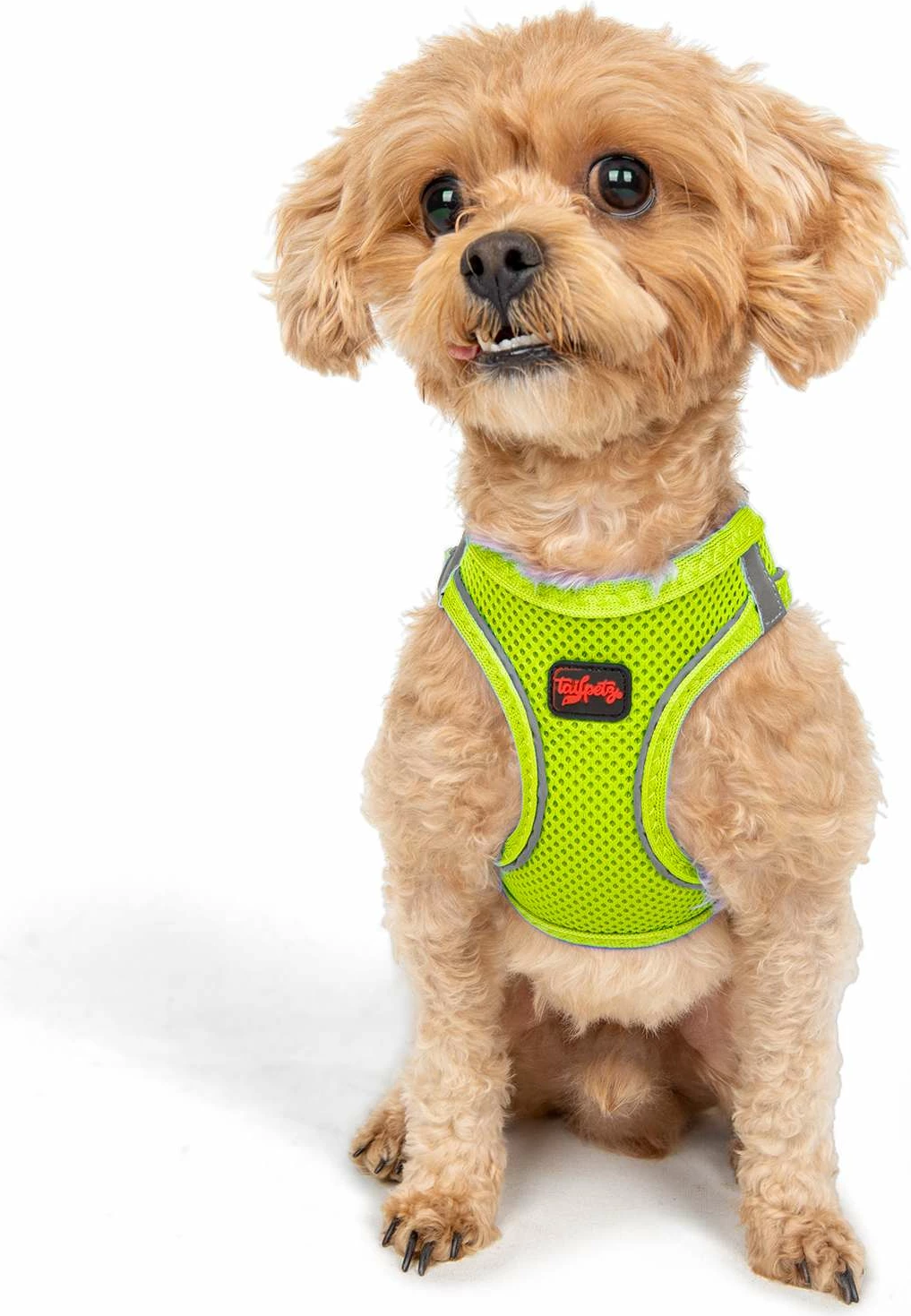 Parzmore për qen, Air-Mesh, ngjyrë Neo Lime