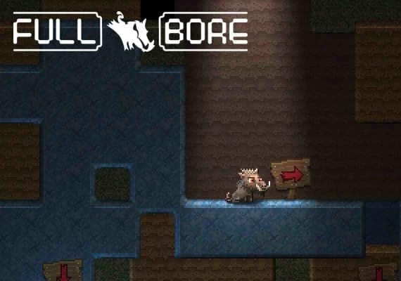 Full Bore EN Global