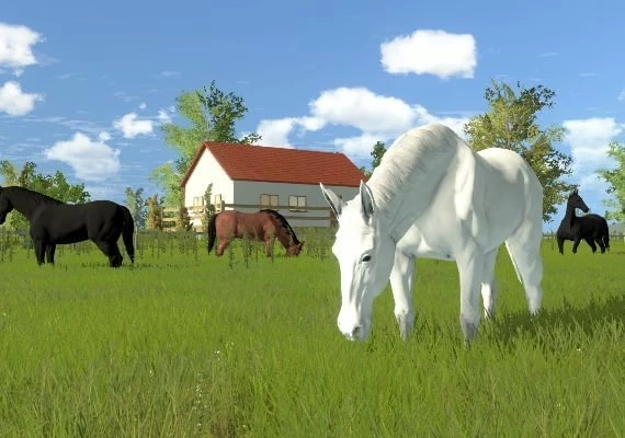 My Little Riding Champion EN Global