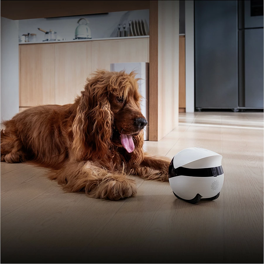 Robot për kafshë Enabot EBO Air 2 Plus, Kamera 3K, Wi‑Fi 5GHz, Night Vision, 5000mAh, bardh/zi