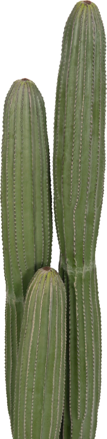 Bimë dekorative sintetike në vazo, lloj kaktusi, FH4744, 17.5x105cm