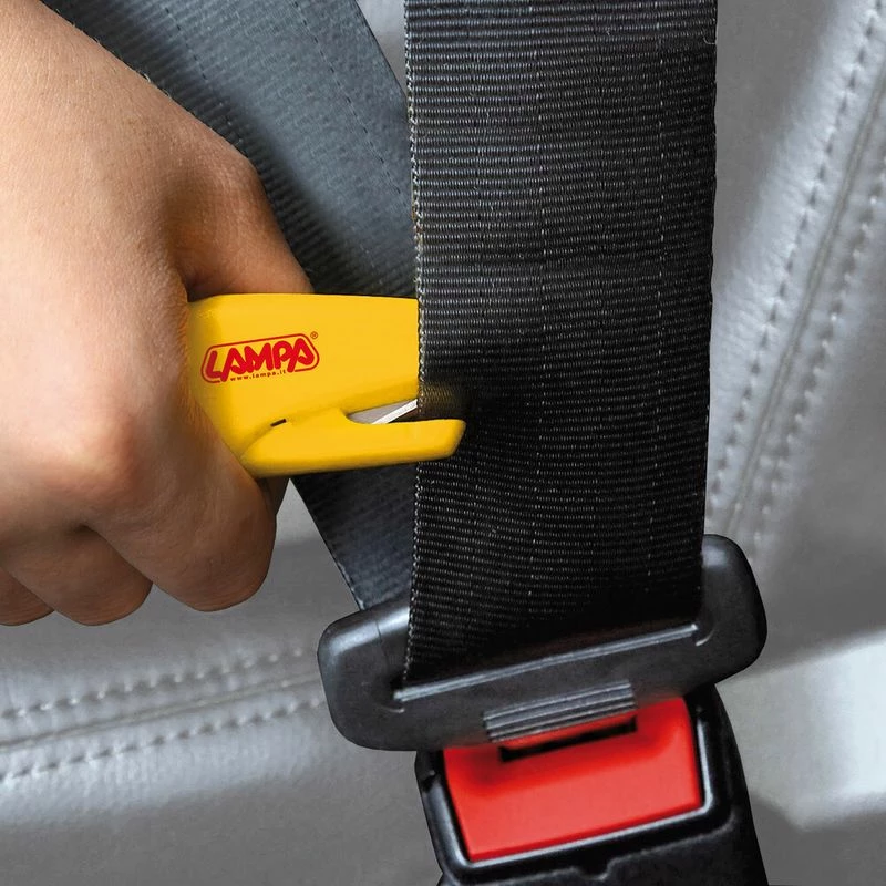 Varese Celsash Emergjente