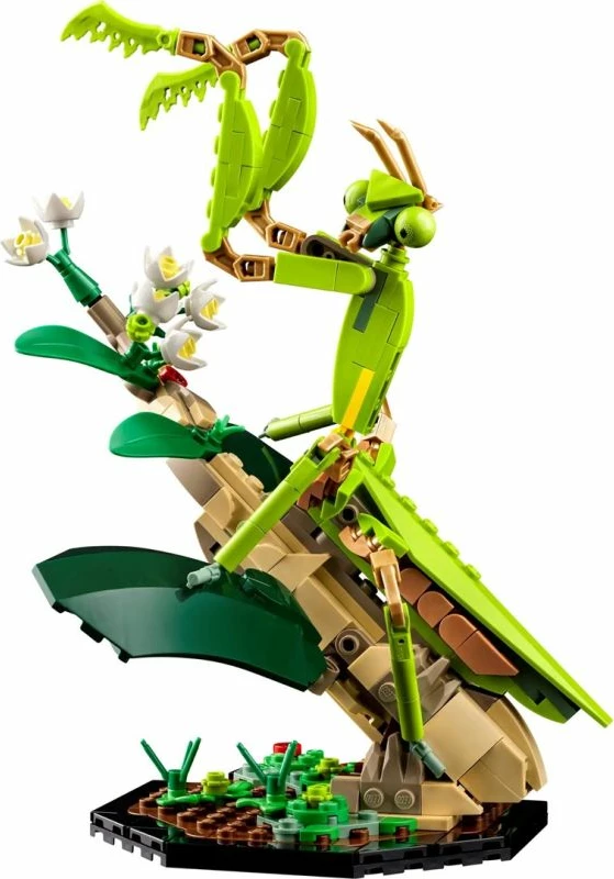 Set LEGO për të rritur, Lego