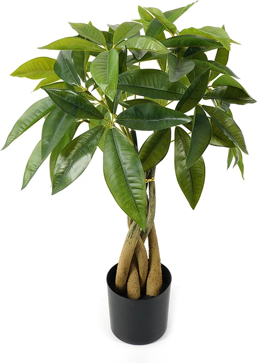 Bimë dekorative Pachira në vazo, ngjyrë e gjelbër, 40x60cm