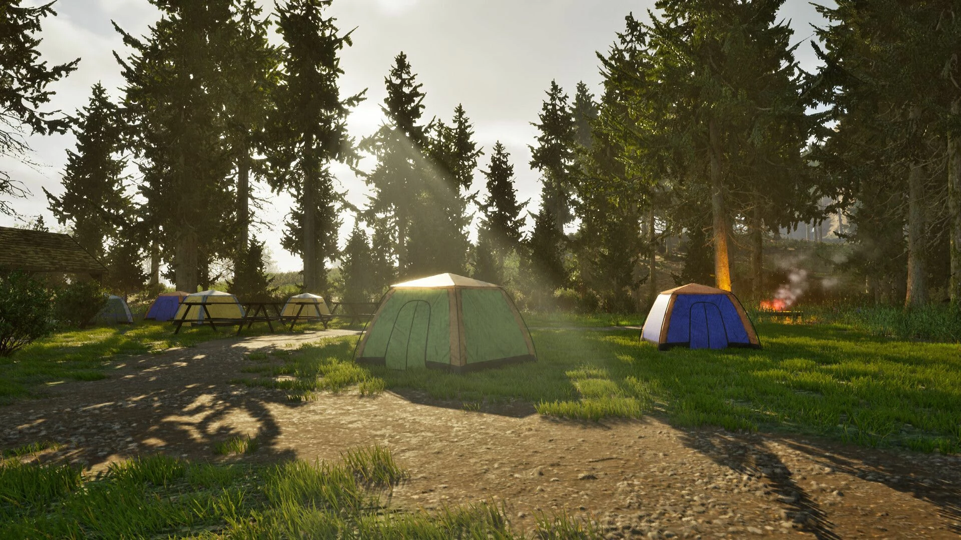 Lojë PS5 Aerosoft Park Ranger Simulator, PEGI 12