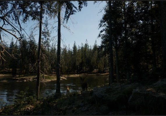 Evergreen: Mountain Life Simulator EN/DE/FR/IT/JA/RU/ZH/ES Global