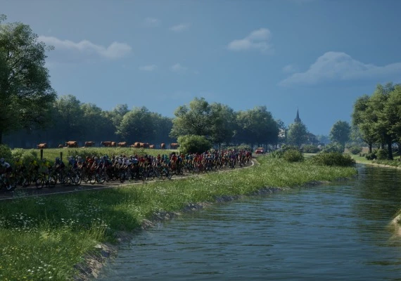 Pro Cycling Manager 25 EN/DE/FR/IT/NO/PT/ES/DA Global
