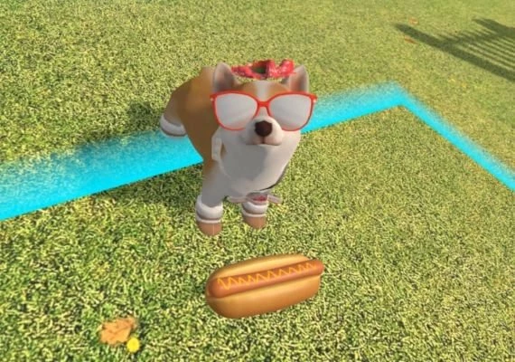 Dream Pets VR EN/JA Global