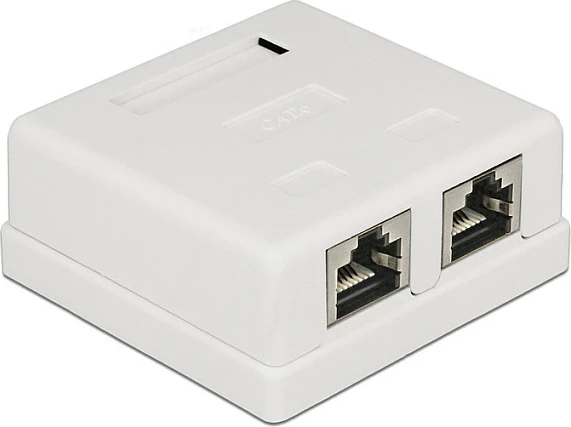 Prizë rrjeti DeLOCK 2x RJ-45 Cat.6, e bardhë