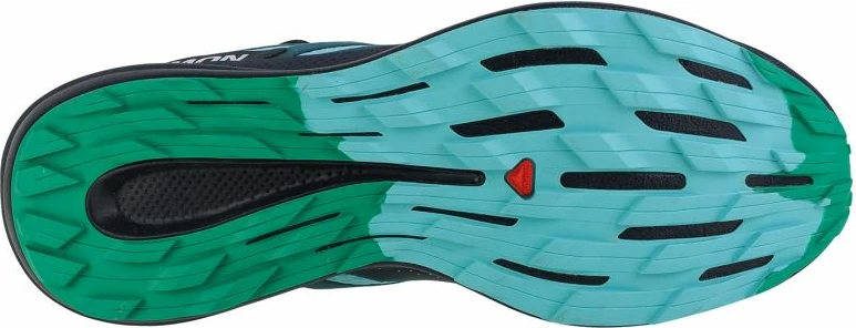 Atlete për meshkuj Salomon Pulsar Trail, blu