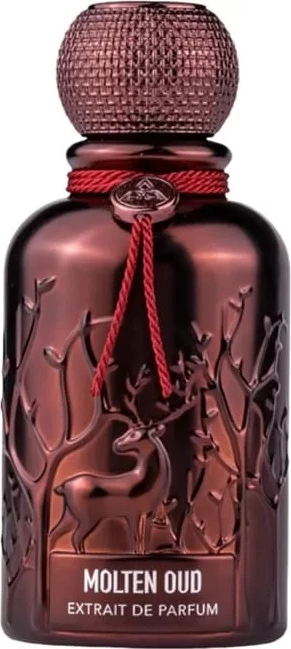 Eau de Parfum Auraa Desire Molten Oud 100ml