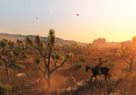 Red Dead Redemption Global