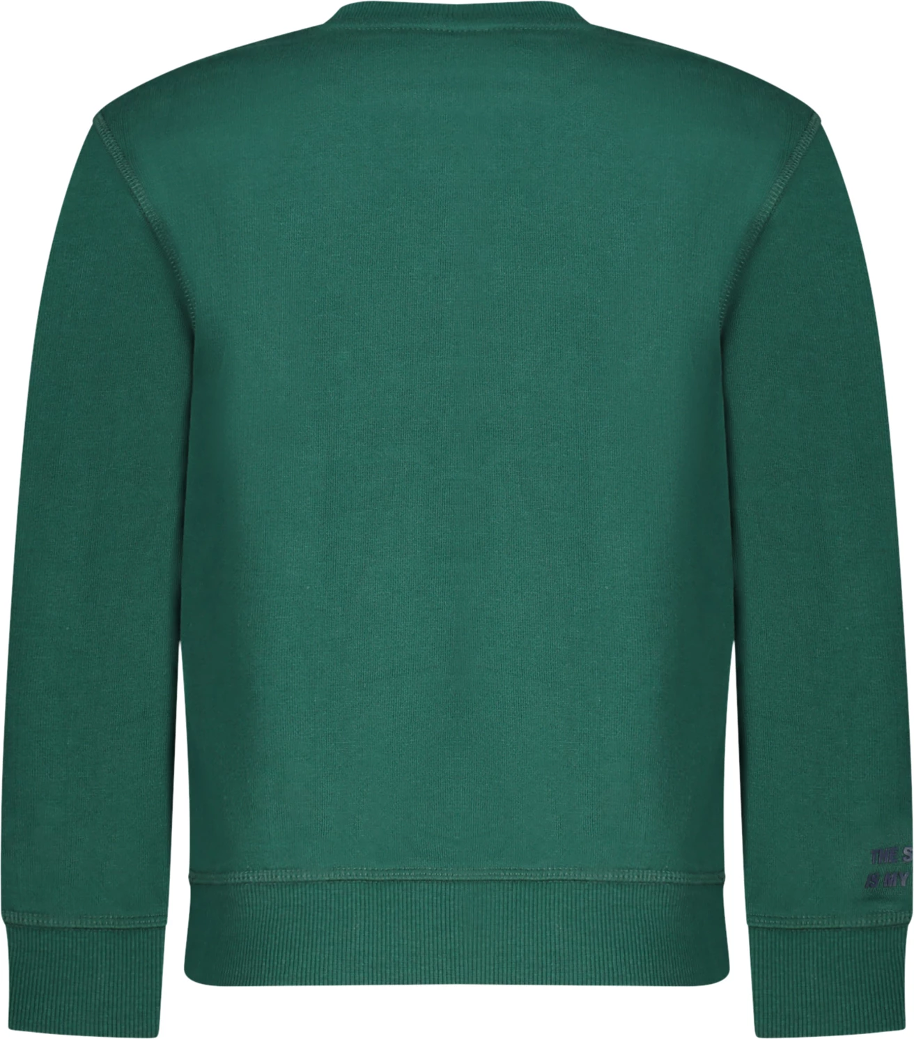 Duks për djem NORTH SAILS, i gjelbër