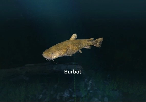 Ultimate Fishing Simulator - New Fish Species DLC Global