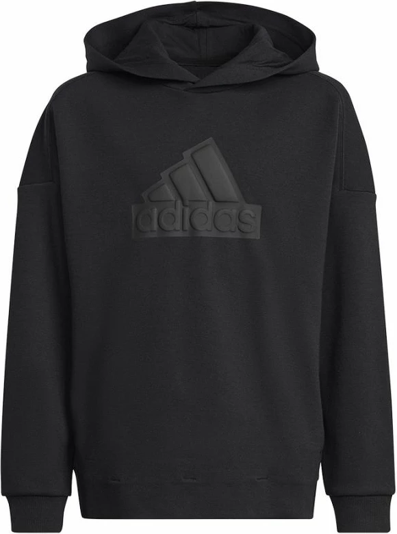 Duks për fëmijë adidas, FI Logo HD Jr. HR6301, i zi