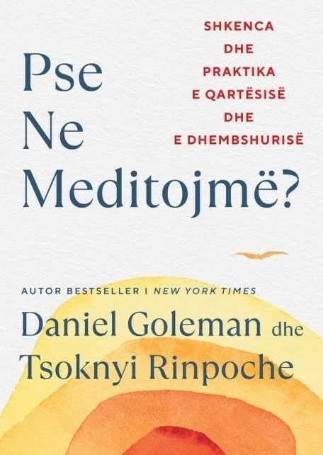 Pse ne meditojmë?, Daniel Goleman