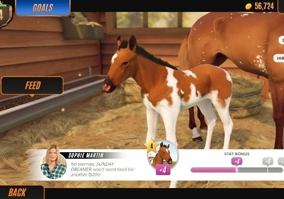Rival Stars: Horse Racing Desktop Edition Global