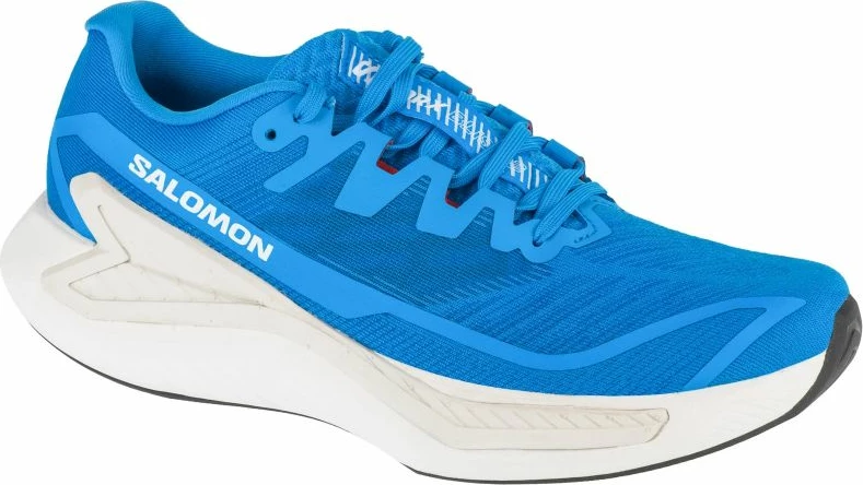 Atlete për meshkuj Salomon, të kaltra