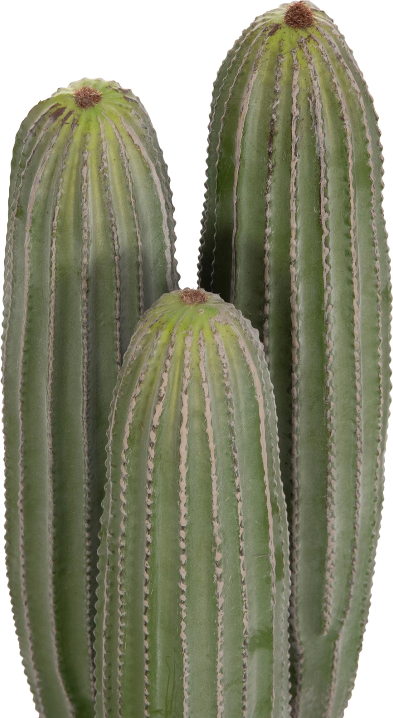 Bimë dekorative sintetike në vazo, lloj kaktusi, FH4743, 16x62cm