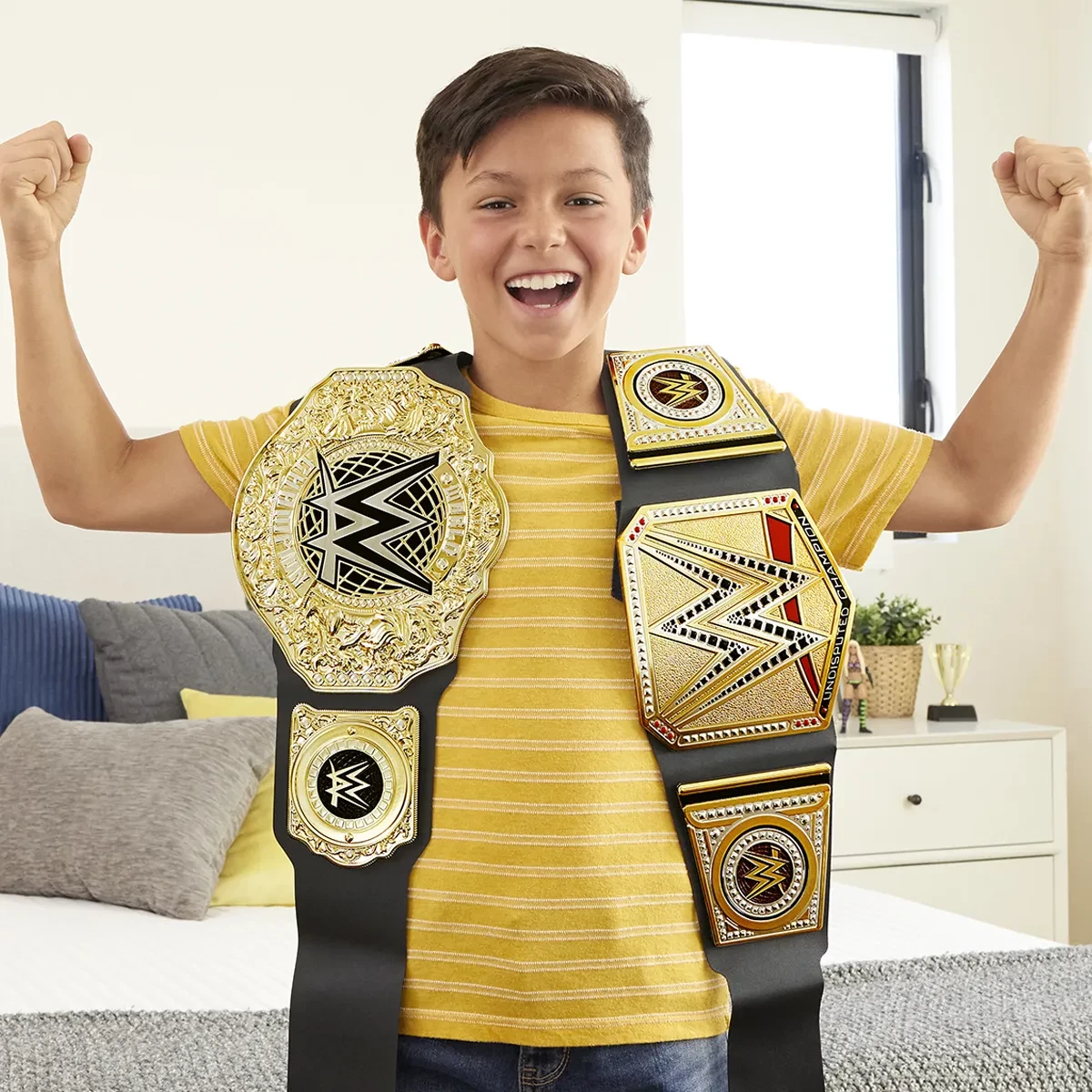 Rrip i kampionatit botëror të peshave të rënda WWE
