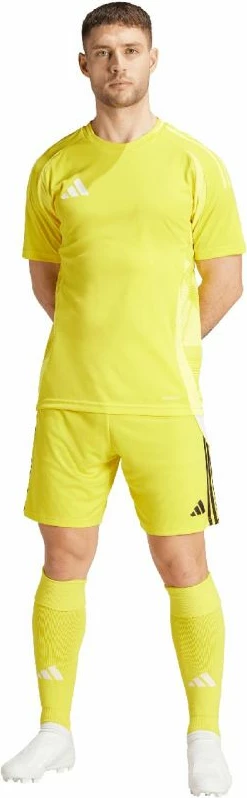 Shorce për meshkuj adidas Tiro 24, të verdha [Madhësia: XL]