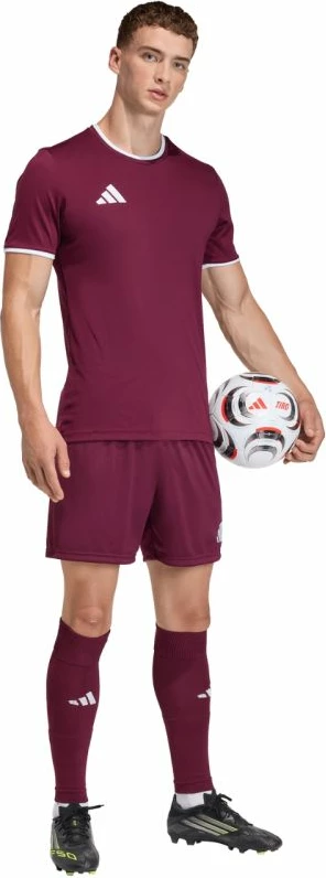 Shorce për meshkuj adidas Entrada 26 JZ2514, të kuqe të errët [Madhësia: L]