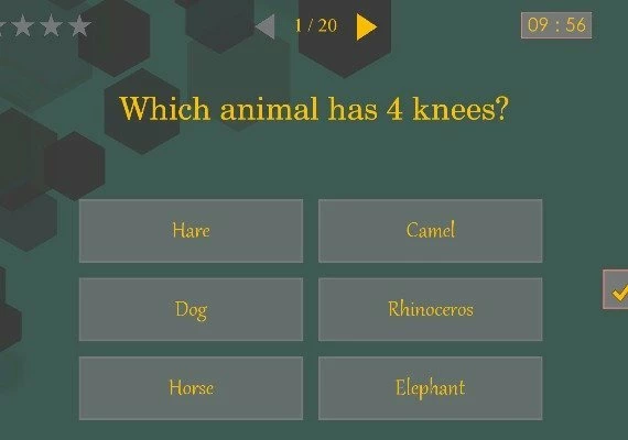 Brain Test EN/PL/RU/UK Global