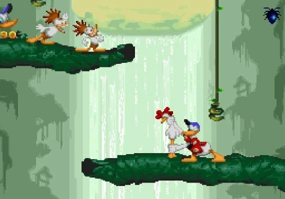 Maui Mallard in Cold Shadow EN Global