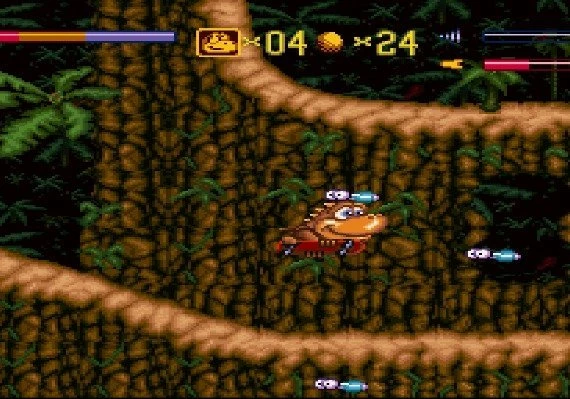 Radical Rex EN Global