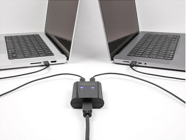 Switch USB 3.2 Gen 1 DeLOCK, 2x Type-B në 1x Type-A, 5 Gbps, i zi