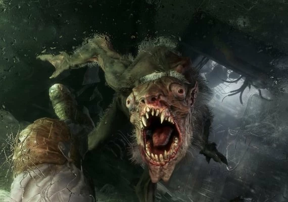 Metro: Exodus Gold Edition Global